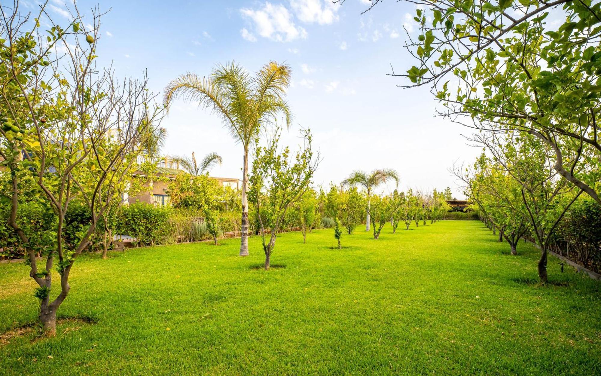 The Lemonary Marrakech Hotel Ouled Moumen Eksteriør billede